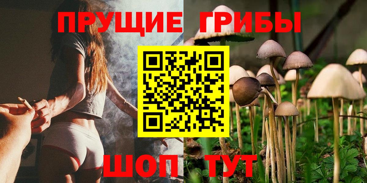 Галлюциногенные грибы Magic Shrooms  Вход с VPN  Губкин  Псилоцибиновые грибы прущие грибы 
