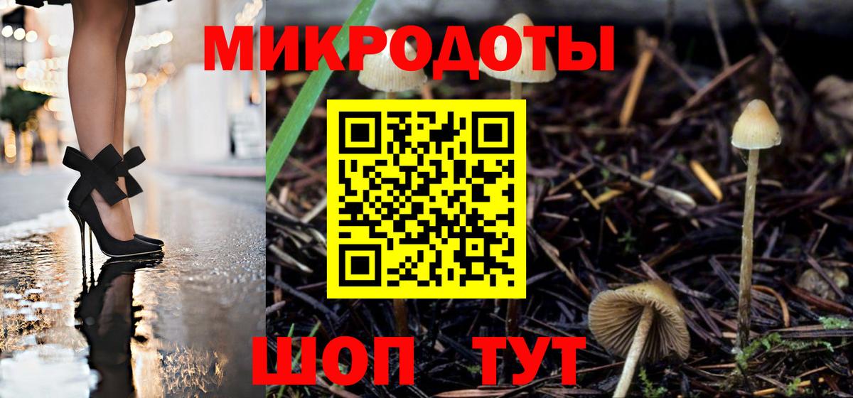 Псилоцибиновые грибы Psilocybine cubensis Губкин